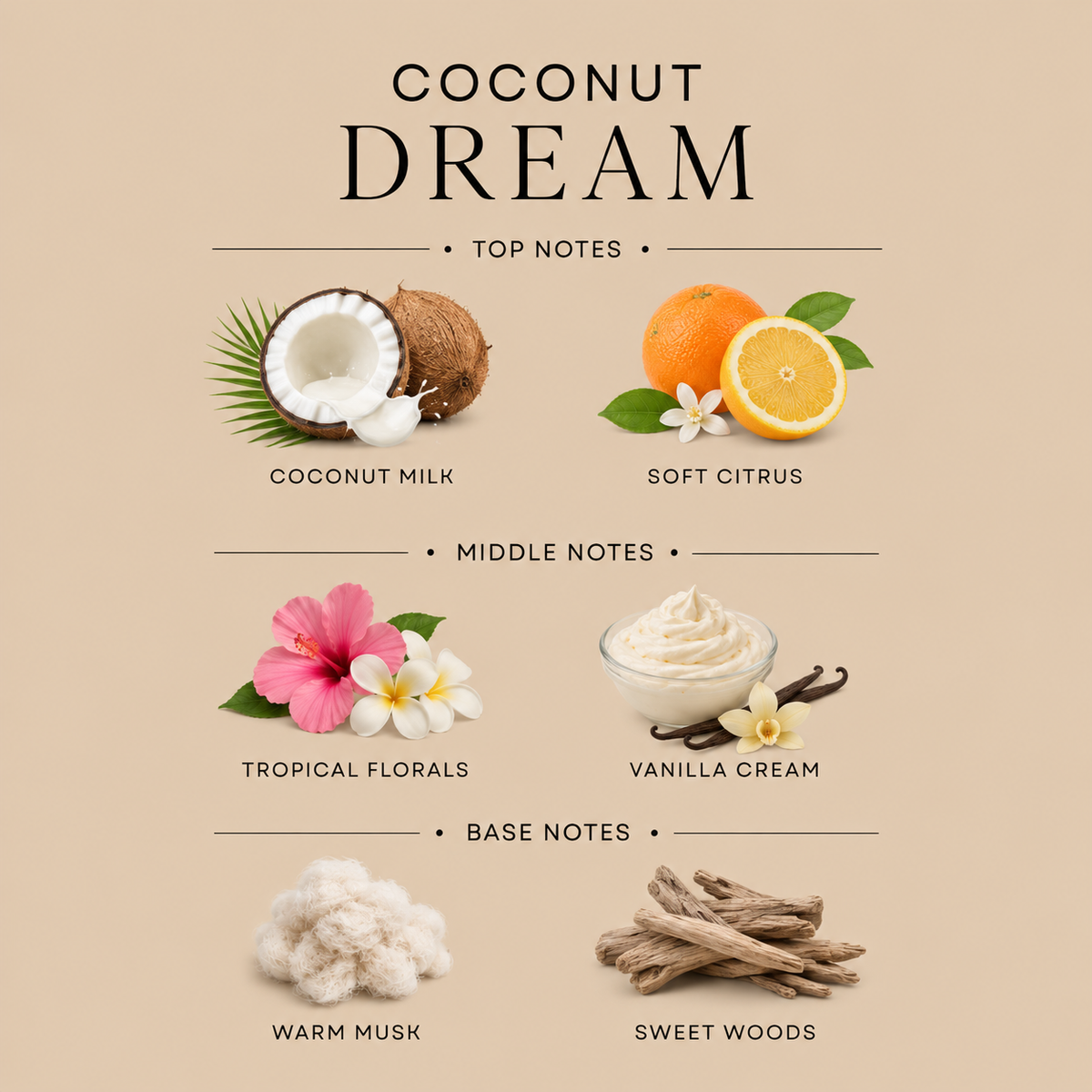 20 oz Coconut Dream Whipped Soap