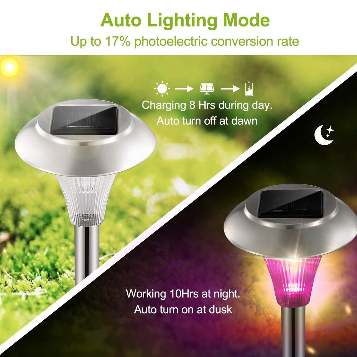 Assorted Color Landscape Solar Lamps